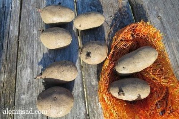 Кракен ссылка купить соли
