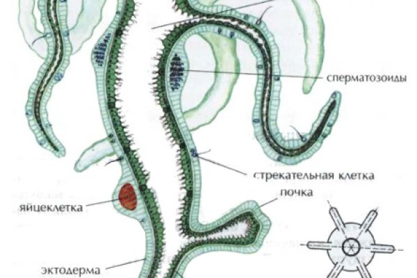 Кракен сайт магазин