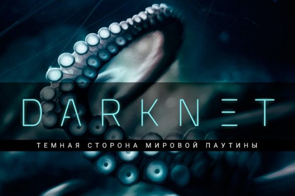 Kraken как найти ссылку