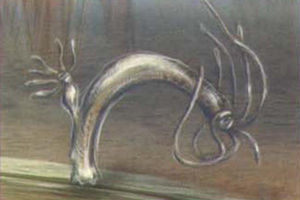 Короткая ссылка на кракен