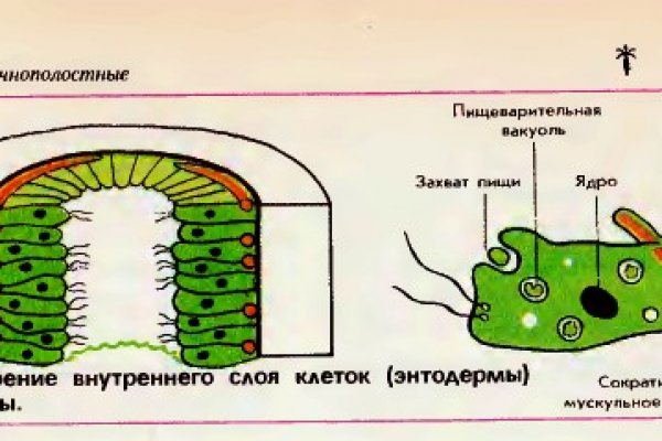 Кракен ссылка тор kr2web in